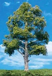 Woodland Scenics TR3537 N/ho Waters Edge Tree 6" - 7" Train Scenery Greenery. Fixed Price $27.01.